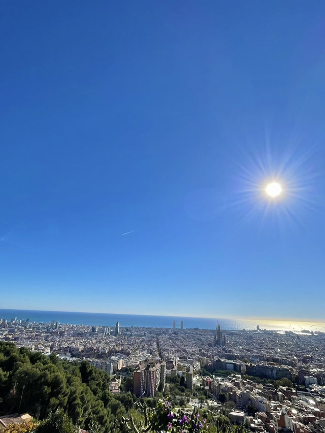 🇪🇸Spain, Barcelona 6日で回る旅行プラン✈️