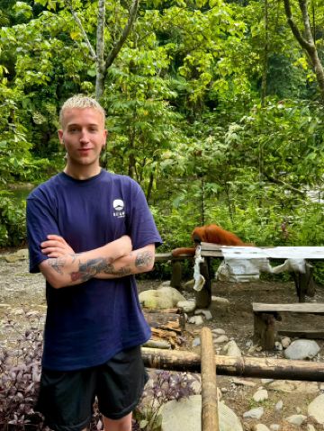 การเผชิญหน้าอย่างดุเดือดในบูกิตลาวัง: อุรังอุตังและกลิ่นอายของป่า 🦧🌿