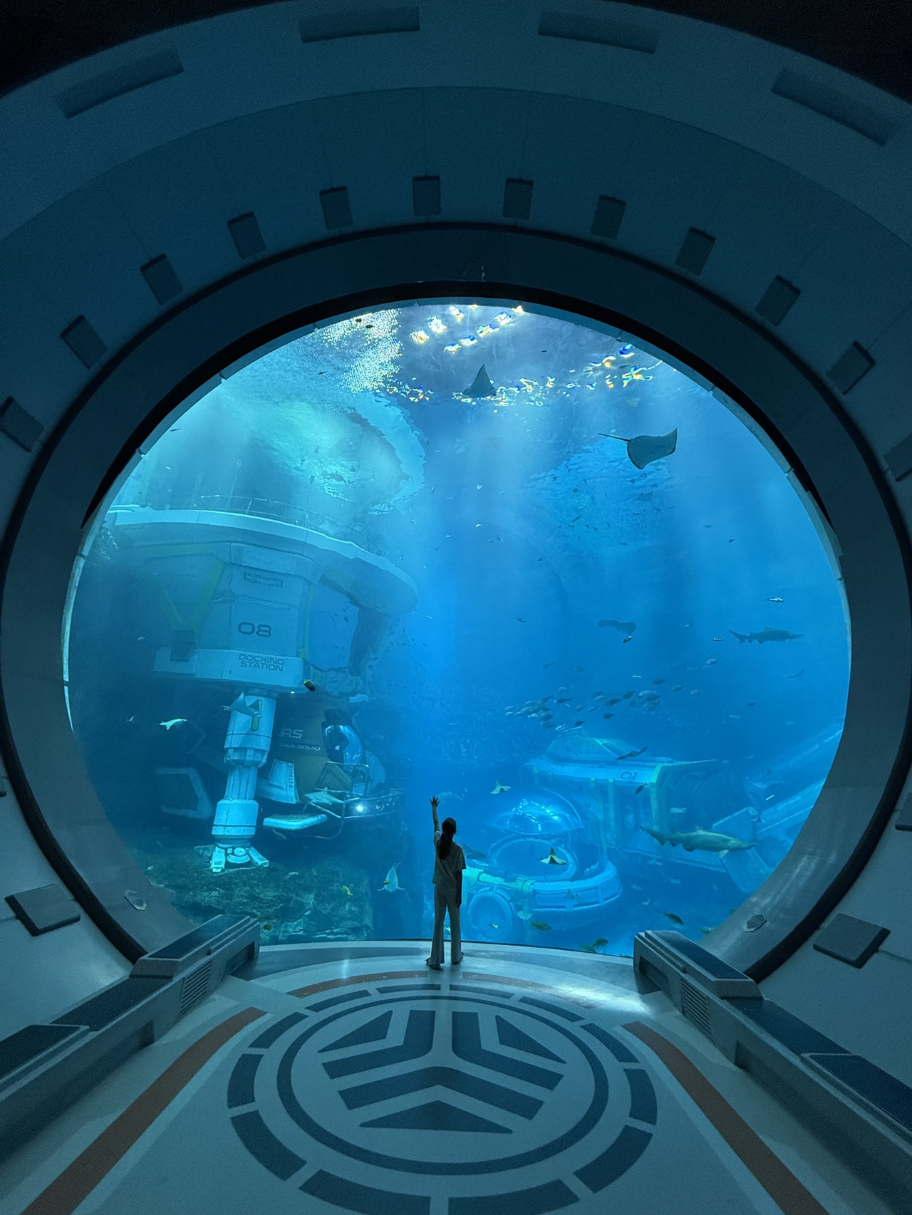 🌊 SeaWorld Абу-Даби - самый большой крытый океанариум в мире.