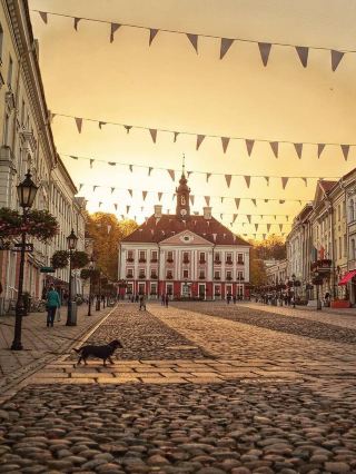 Tartu — The Estonian University Town Where Classical Facades Meet Street Art and the River Winds