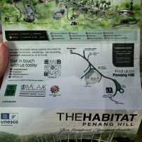 A Forest Adventure: The Habitat at Penang Hill 🌳🐦🌺