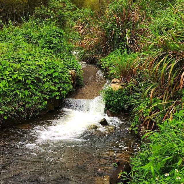 Walk and treat your inner peace for a self healing!