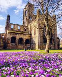 Colorful spring 🍀 - Yorkshire