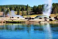 Yellowstone National Park | is the first national park in the world | is a famous tourist destination with a sense of responsibility.