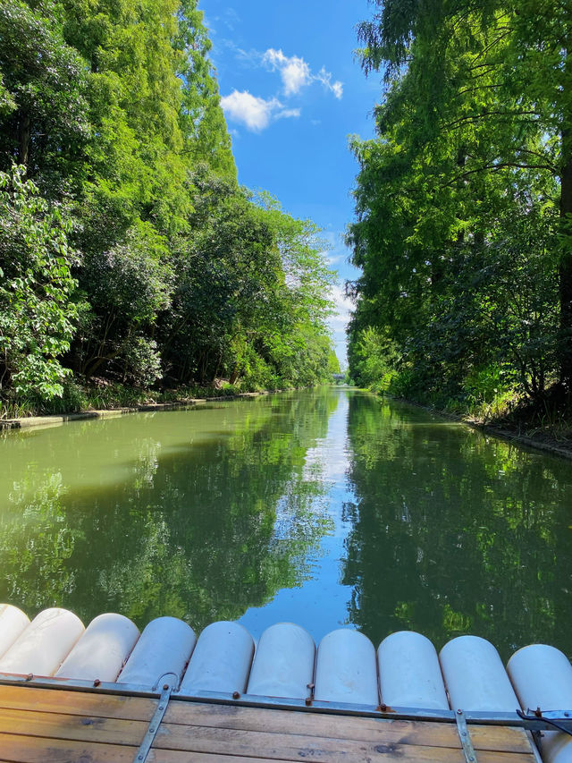Travel from Shanghai to southern Jiangnan 🍃 and drift into the greenery of spring on a bamboo raft.