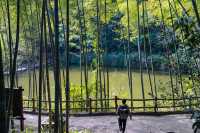 貴州第一溝，空氣罐頭亞木溝