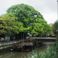 廣州小烏鎮｜竟滿足了我對江南的嚮往