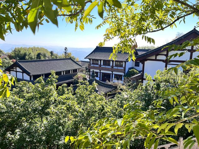 杭州尋秋——徑山寺的寧靜與靈性之旅