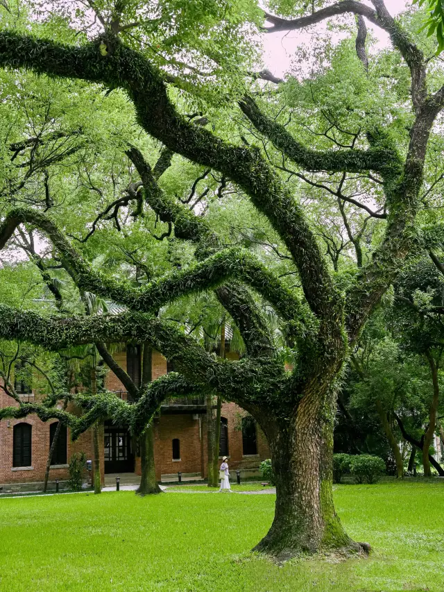 Life advice: Visit Sun Yat-sen University before leaving Guangzhou