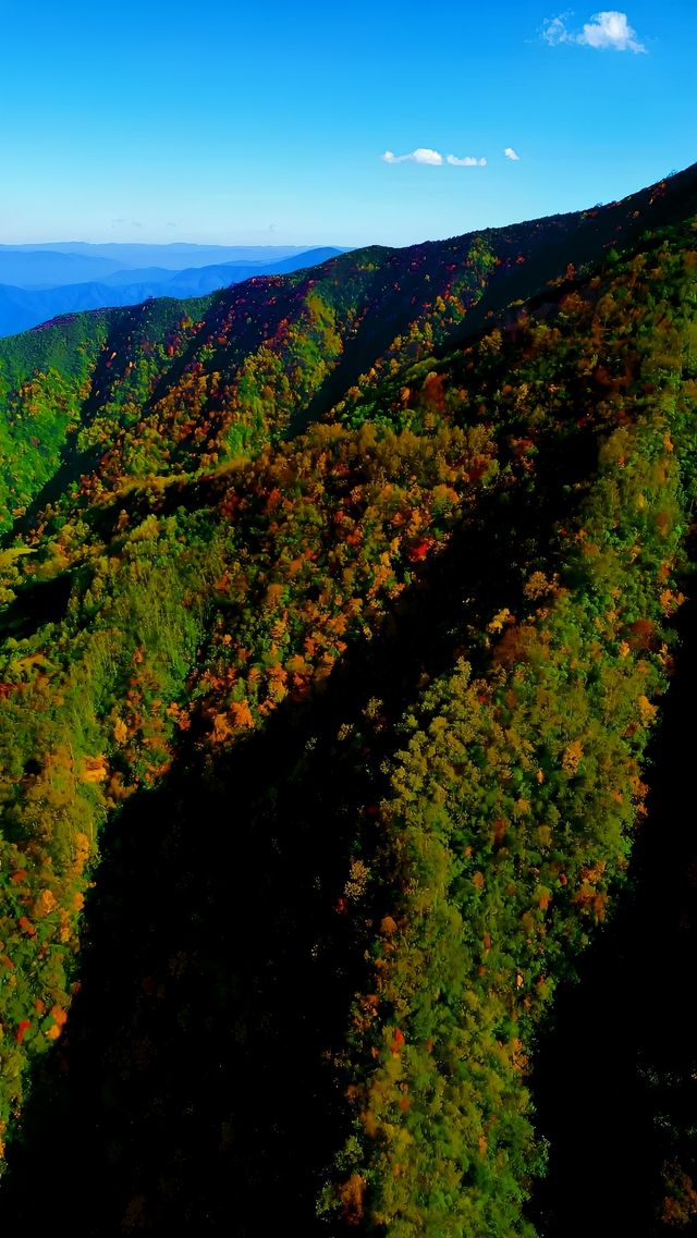 遇見冬日炫烂，遇見多彩涼山