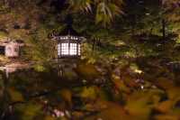 【京都·永觀堂·禪林寺·夜光版·2023】