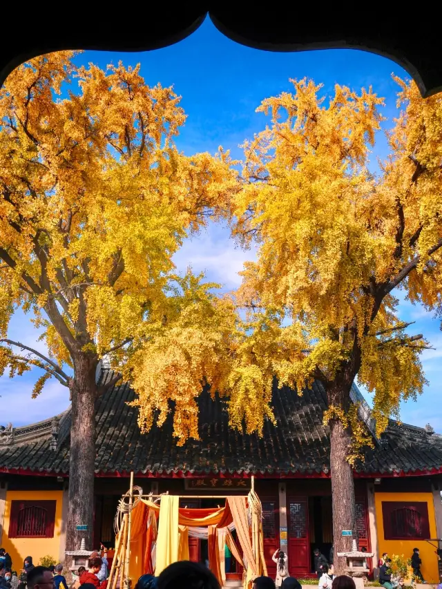 If you don't come to this free temple in Suzhou, autumn will end