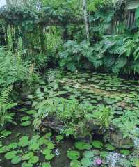 雲南|中科院植物園