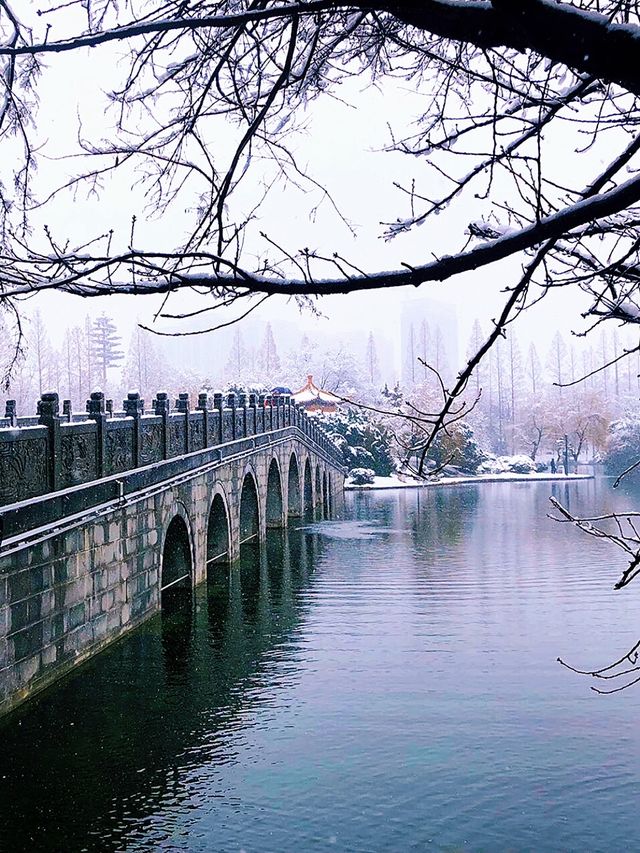 歲末聽雪落：逍遙津雪景