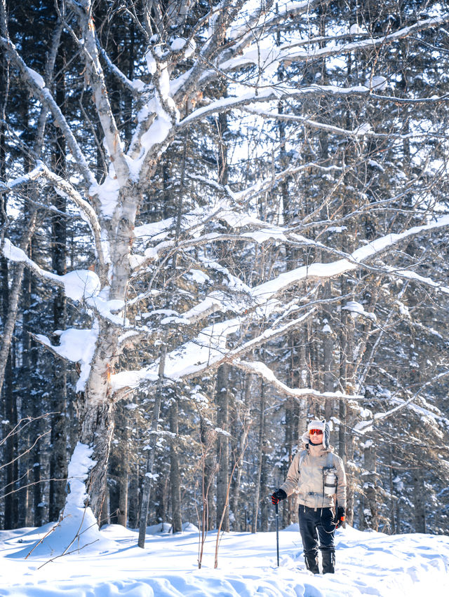 徒步穿越15公里的森林雪原才是雪鄉正確的開啟方式