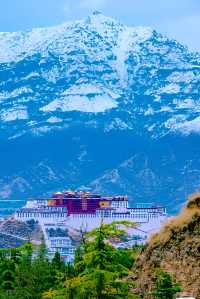 西藏布達拉宮，一個神奇令人嚮往的好地方！我們來了！！