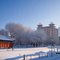 年前一定要去遼寧瀋陽棋盤山雪鄉看冰雪世界