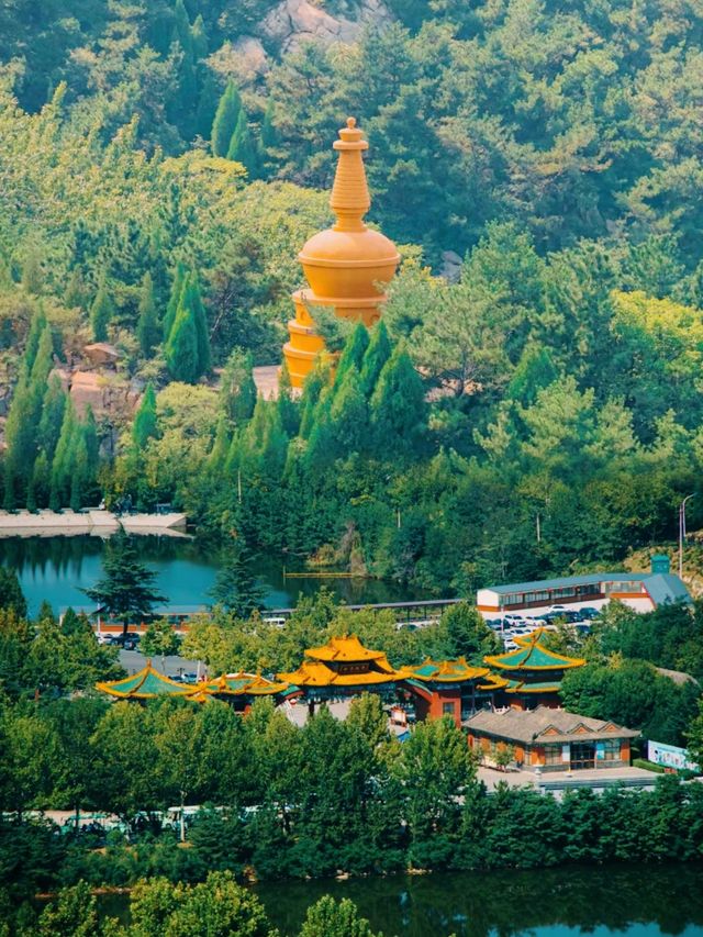 上上簽！龍口南山祈福之旅~