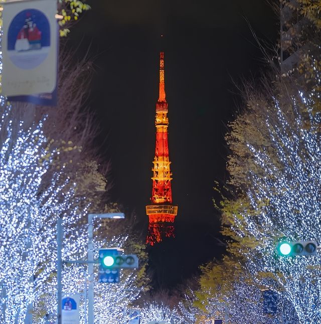 聖誕短線遊, 東京