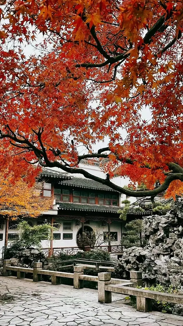 環秀山荘一一名前に惑わされた絶美な蘇州庭園