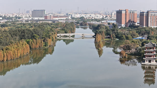 華陽湖水上森林公園