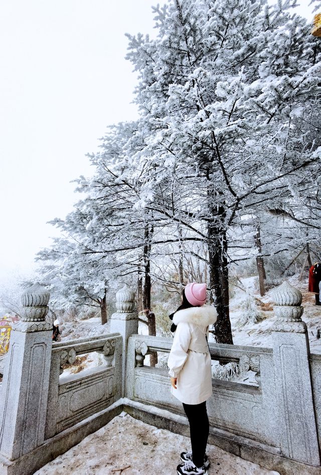 這個冬天總要去一次峨眉山看雪景吧