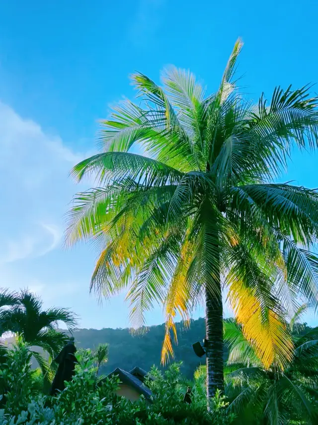 Phuket 4 days and 3 nights special forces tour on a whim