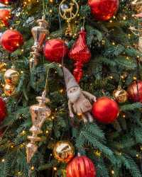인천의 숨은 보석, 크리스마스의 꽃 피는 로즈스텔라정원 🎄
