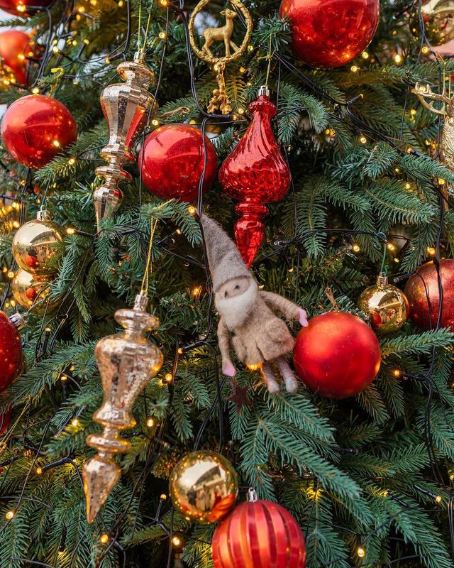 인천의 숨은 보석, 크리스마스의 꽃 피는 로즈스텔라정원 🎄