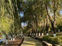 今日遊玩推薦：長春南湖公園綠意盎然，南湖公園等你來探秘