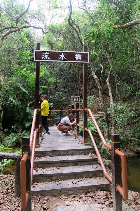 流水響、鶴藪水塘