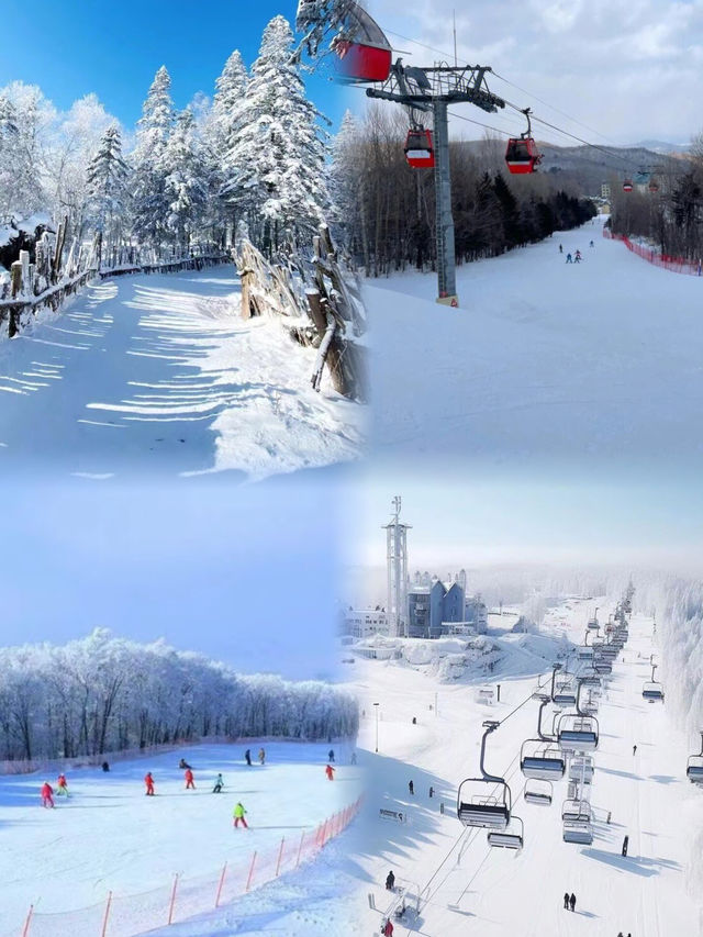 哈爾濱 亞力布滑雪場 ｜滑雪愛好者的天堂