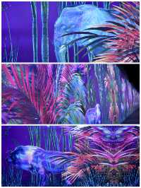 香港觀展 | ARTE M沉浸式數碼藝術博物館