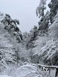 遠離人群，這個地方太適合雪地撒歡啦