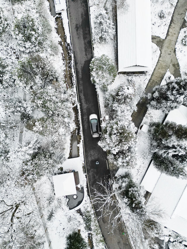 成都周邊2h就能玩雪，人少！景美！速來！