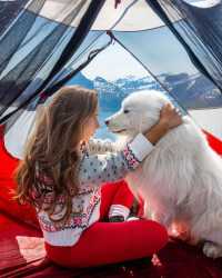 🏞️🐶 Soulmates: Exploring Norway's Majestic Landscapes with Your Furry Best Friend! 🌲❤️
