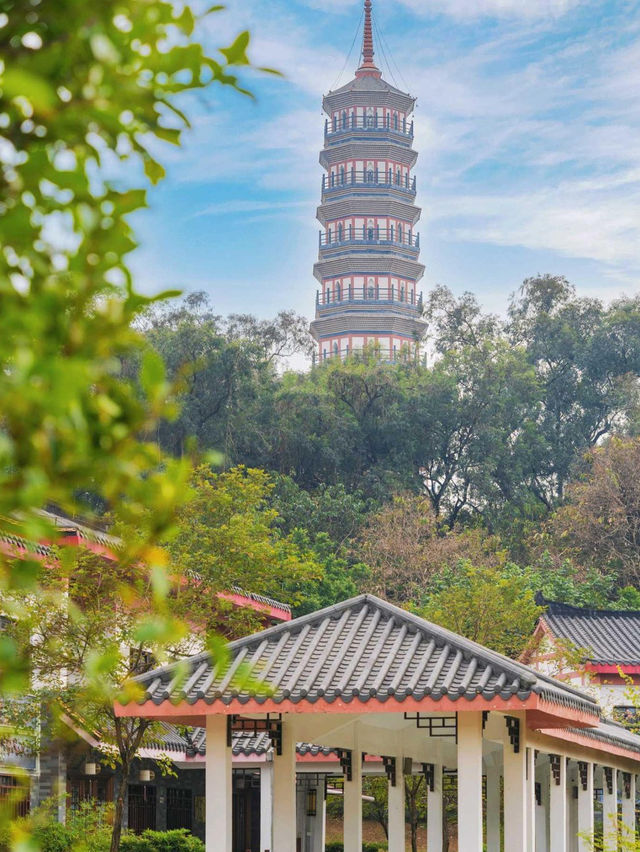 💫【廣州免費景點】水博苑：小衆廣式園林，適合壹日遊