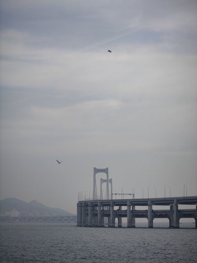 大連漫遊02 丨 東港&黑石礁&棒棰島&旅順口