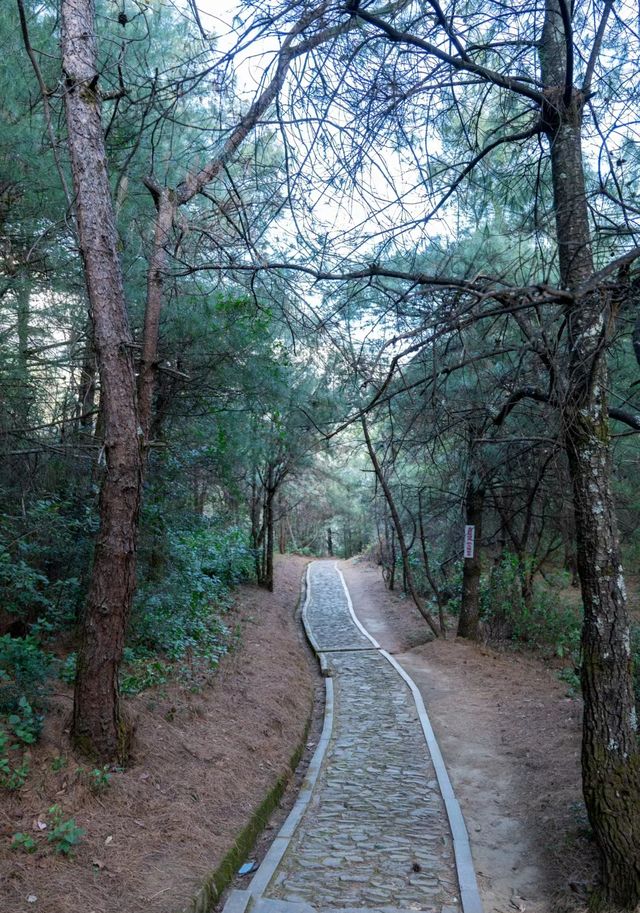 苍山！清碧溪徒步