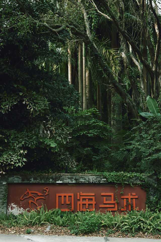 廣州科幻末日電影感公園，適合陰雨天去！