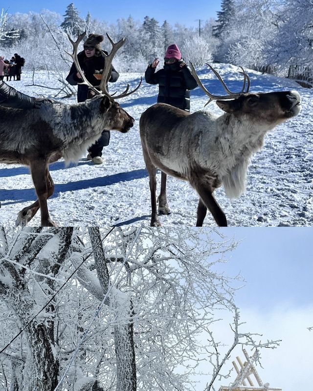 長白山·仙峰雪嶺