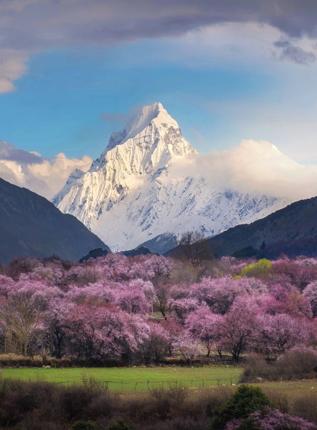 西藏林芝旅遊攻略