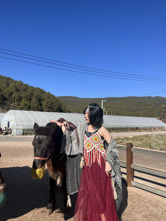 雲端彼岸茶馬古道果然聽再多不如來玩一遍