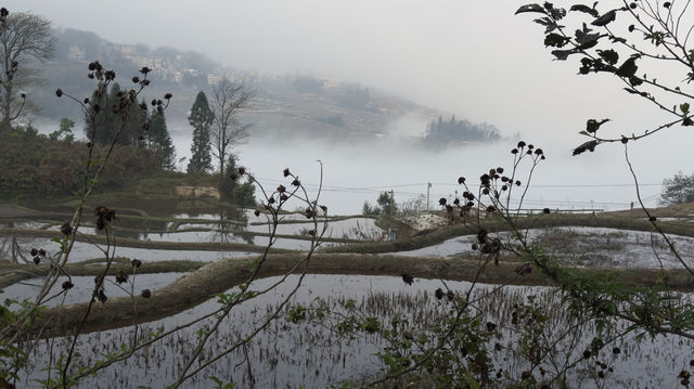 元陽梯田～～麻栗寨觀景台