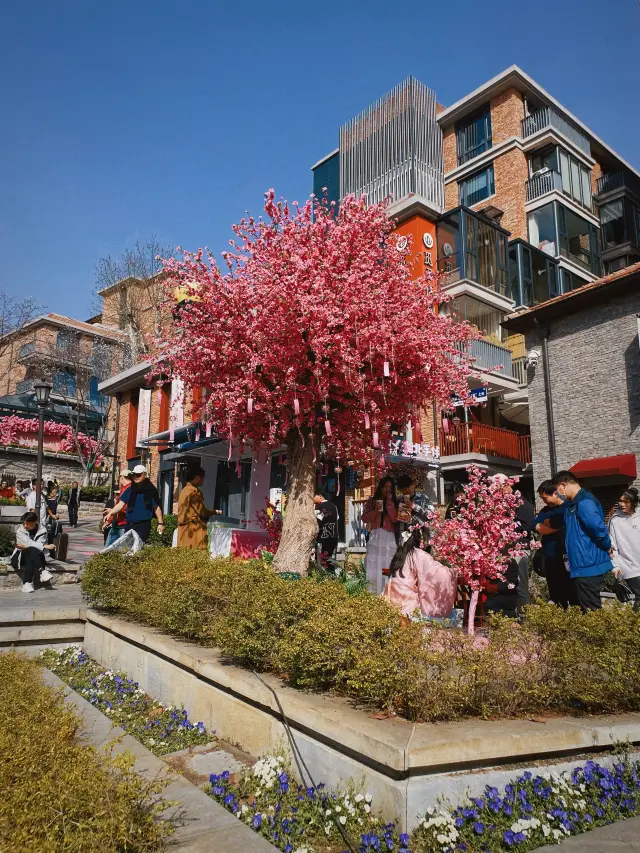 When spring warms the earth, cherry blossoms fill Tanhua Lin in Wuhan