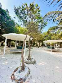 The best hotel in Koh Rong Sanloem ☀️