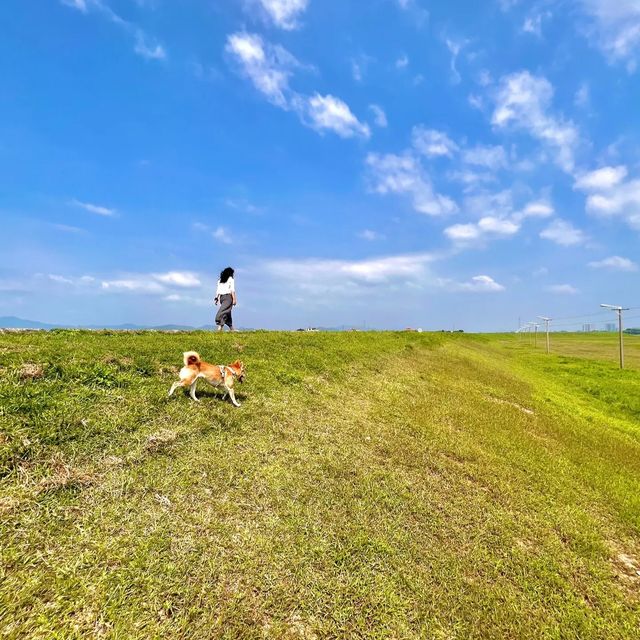 朋友以為我去了呼倫貝爾!!可是這是佛山!