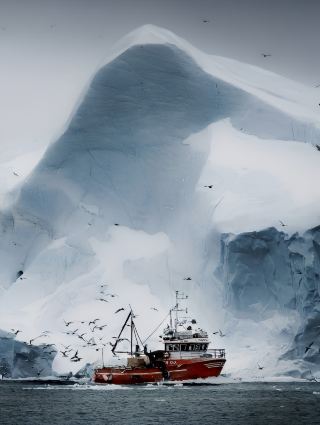 The Oppressive Feel of Greenland's Glaciers | 8-Day Itinerary Included