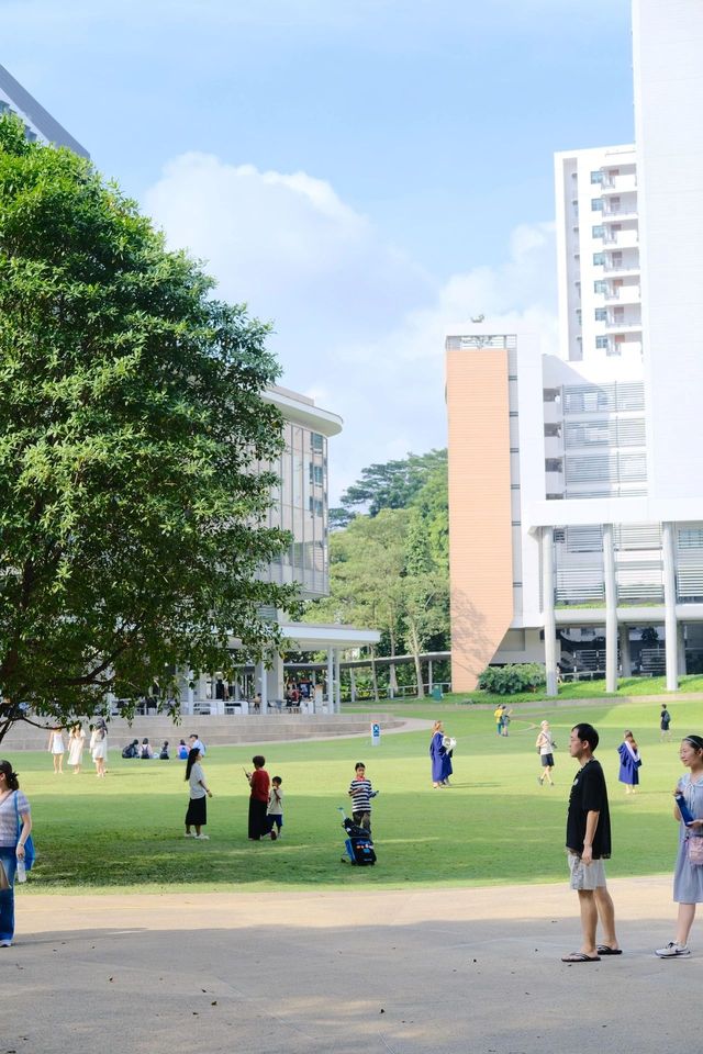 多希望你在去新加坡之前能刷到我這條……