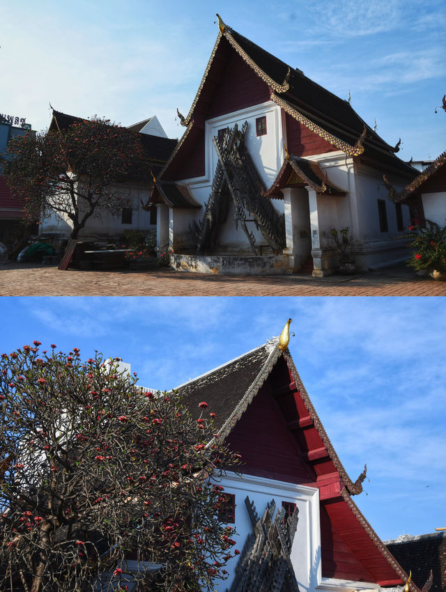 泰國旅遊｜還有人記得泰囧廟嗎？-清邁布帕蘭寺